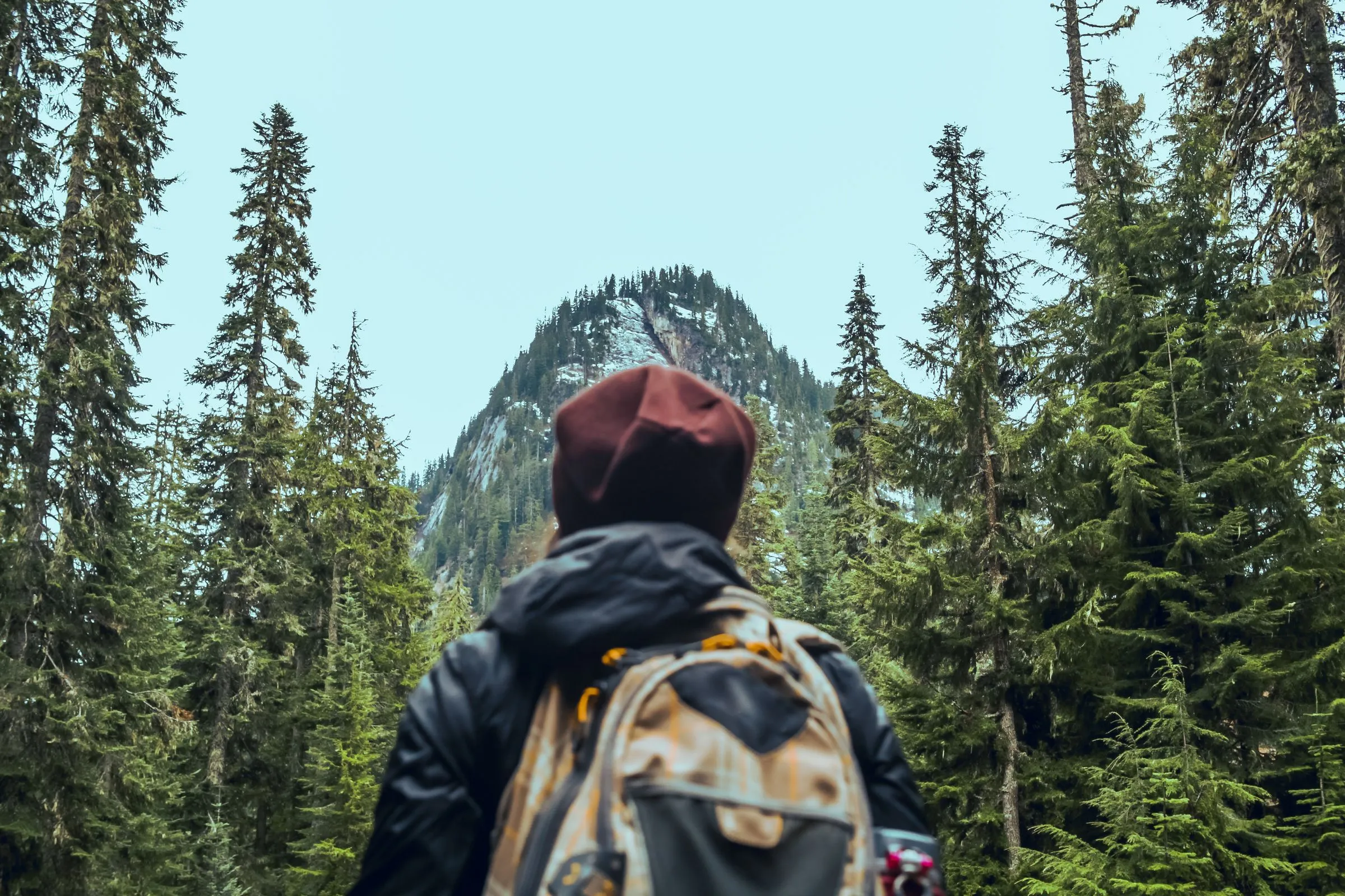 Hiker looking up at a forested mountain peak